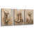 Toile tendue