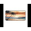 Polyester Desk Pad-843088164