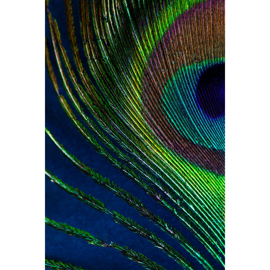 Leinwandbild Peacock Feather von Ithinksky