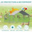 Cinderford Walk in Chicken Run-2048719376