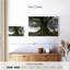 Harnek Mossy Old Trees-107705465