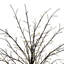 Arbre à micro-points avec lumières DEL blanc chaud-63383342-63383343