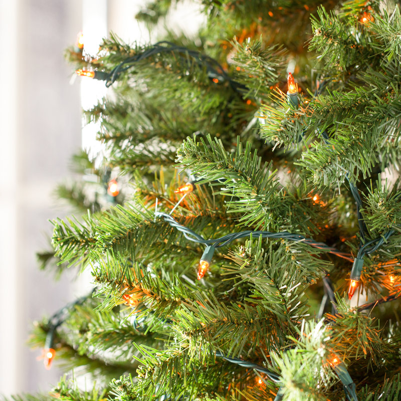 50.5' 100-Light String Lights, Amber