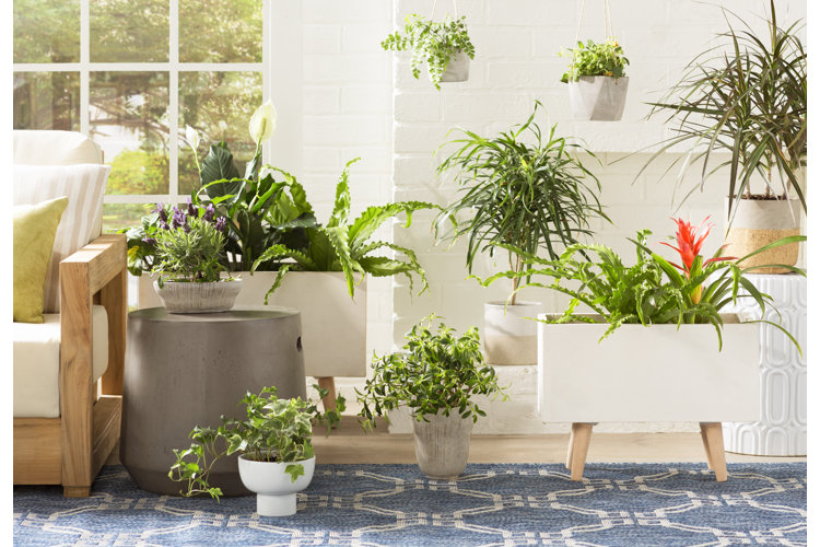 rectangular planter boxes