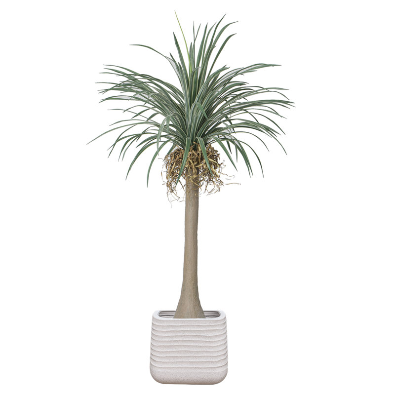 Dragon artificiel 84,57 "en pot, Blanc