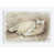 Toile tendue