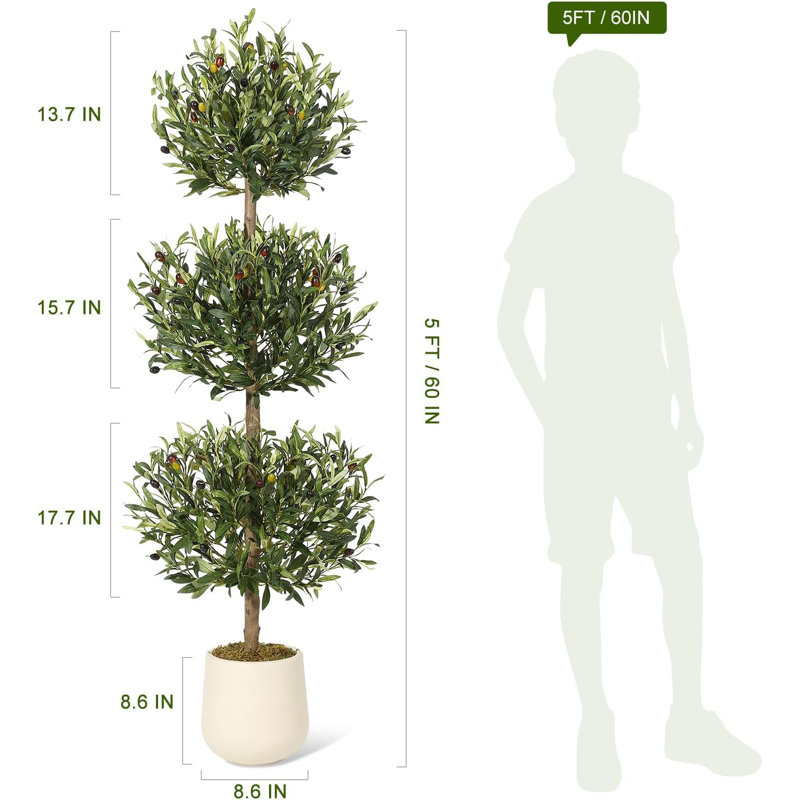 152.4cm Plant