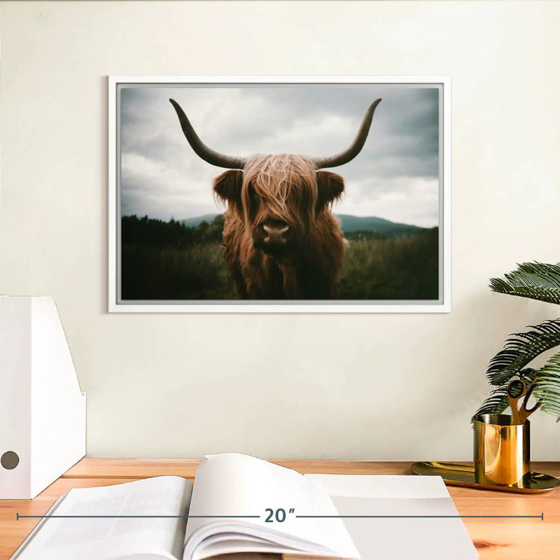 Vache Highland Open Field, Cadre flottant blanc, 13 po x 9 po
