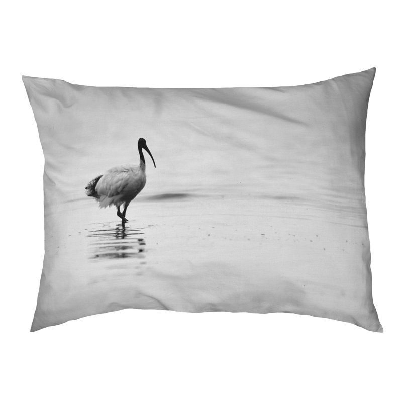 Coussin de concepteur ibis Burien, L 32,5 po x l 42,5 po, Noir