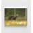 Frameless Print n'est pas disponible