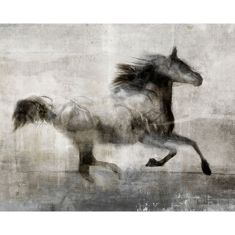 Quick Step Print by Chelsea Art Studio, Plexi, 40" H x 50" W x 1.5" D