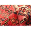 Tapis rouge Andelz 3 pi 8 po x 5 pi 9 po