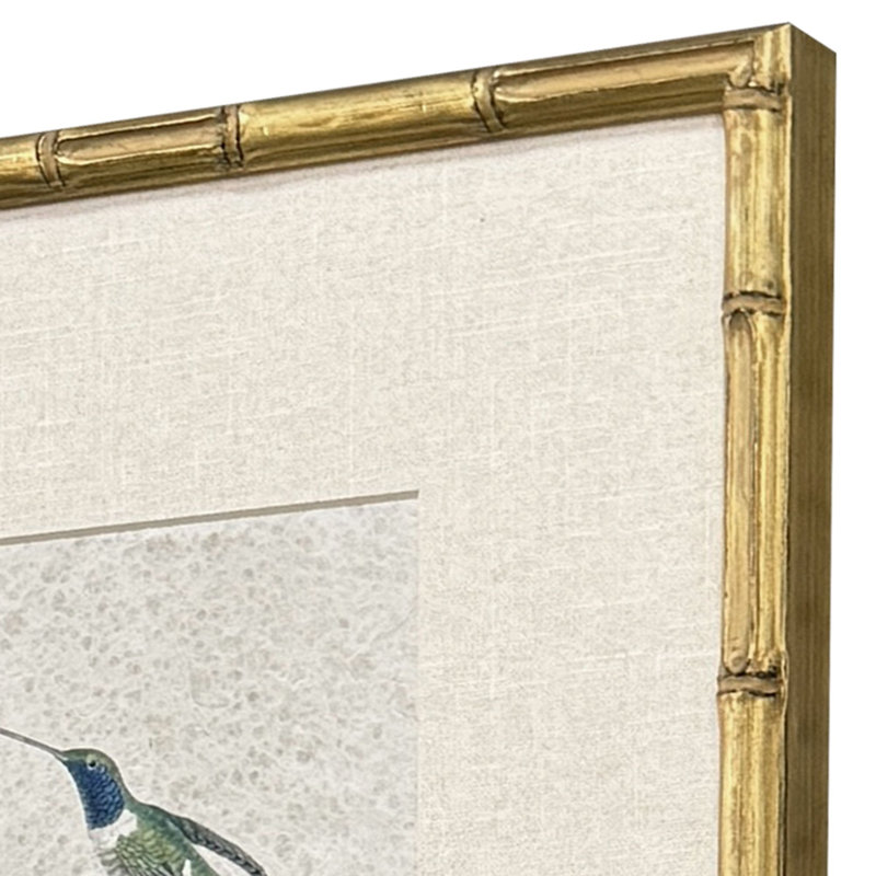 Antique Hummingbirds Framed Art