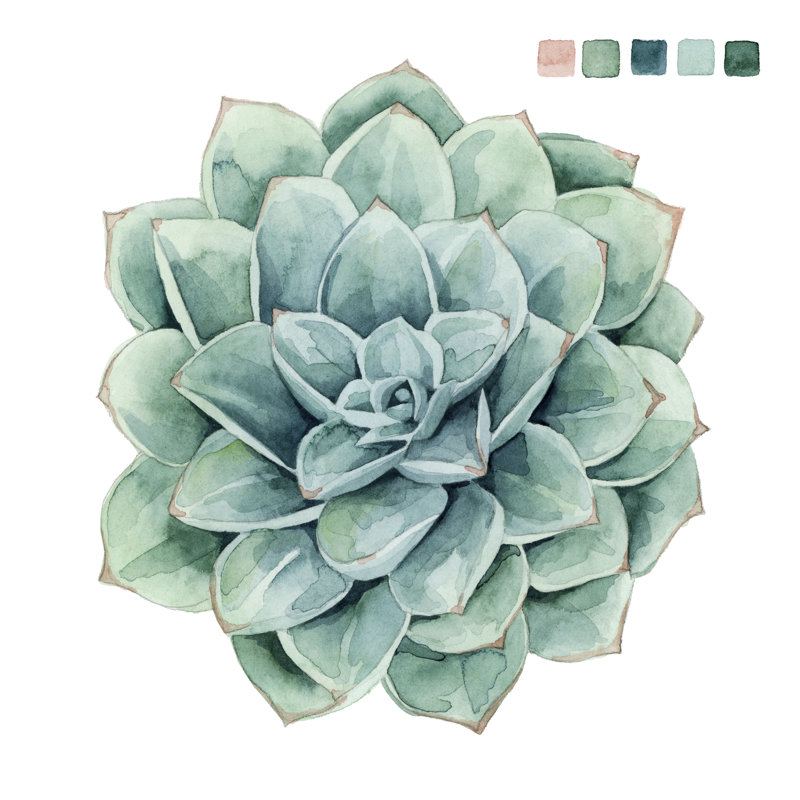 «Succulent Swatches I» par Grace Popp, peinture sur toile, H 36 po x l 36 po