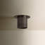 Berg Flush Mount-1385692814