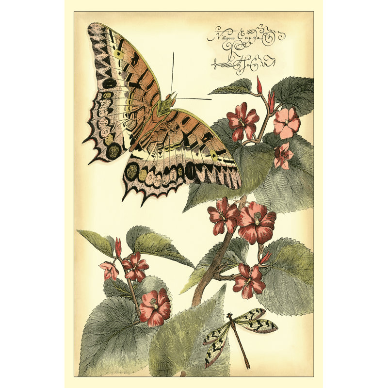 Whimsical Butterflies II - Wrapped Canvas Painting, 76cm H x 51cm W x 3.8cm D