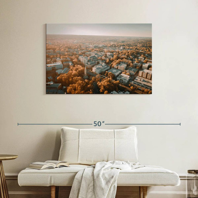 Harpa UNC Campus Aerial View, 26" H x 39" W