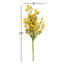 Jets de fleurs sauvages
