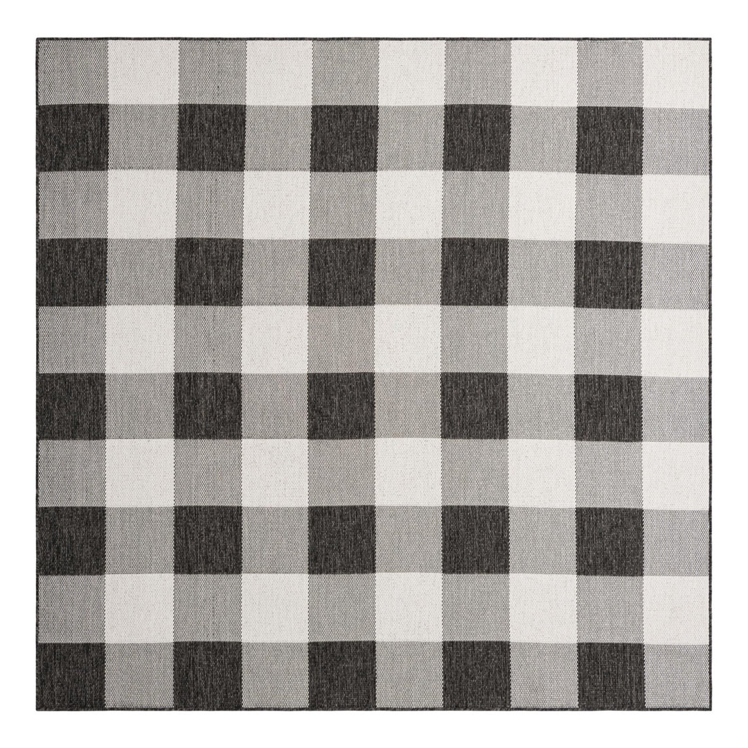 Tatasha Gingham Power Loom Polypropylene Plastic Indoor/Outdoor Area Rug in Black/White Gracie Oaks Rug