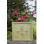 Oscoda Handmade Pot Planter-14486197-31016055