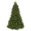 7.5' Dual LED Deluxe Belgium Tree-705274933