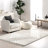 Geometric Shag Tassel Area Rug-1463399180