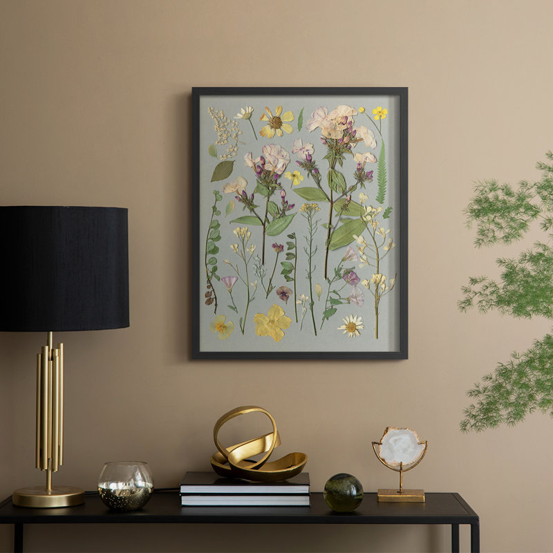 «Organic Study II», reproduction encadrée - bois massif, Black, 21" H x 17" W