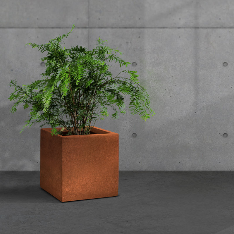 Boîte à fleurs en béton Wabbaseka, H 12 po x l 12 po x P 12 po, Oxyde de fer