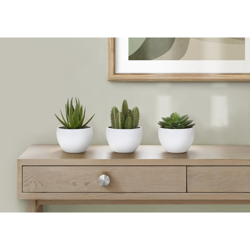 Plante artificielle, Blanc