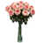 Rose n'est pas disponible