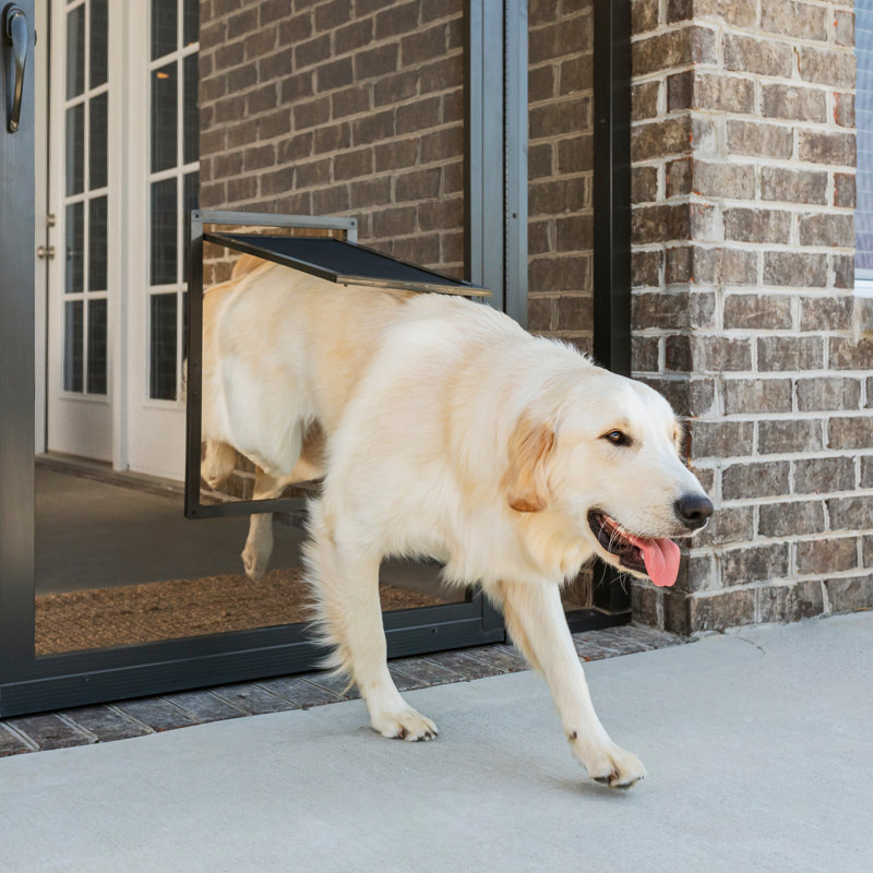 PetSafe NEVER RUST Pet Screen Door, Large