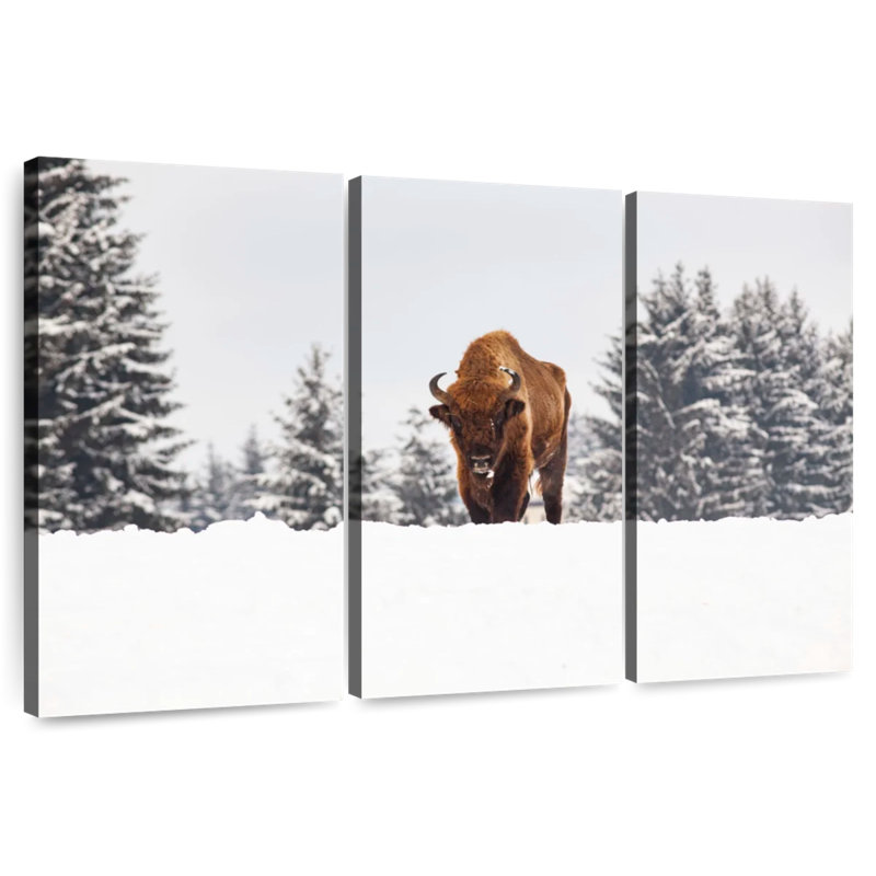 Brampt Bison At Winter Fields, 20" H x 33" W