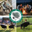 Foldable Moon Camping Chair-2071386344