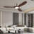 CEILING FANS LIGHT