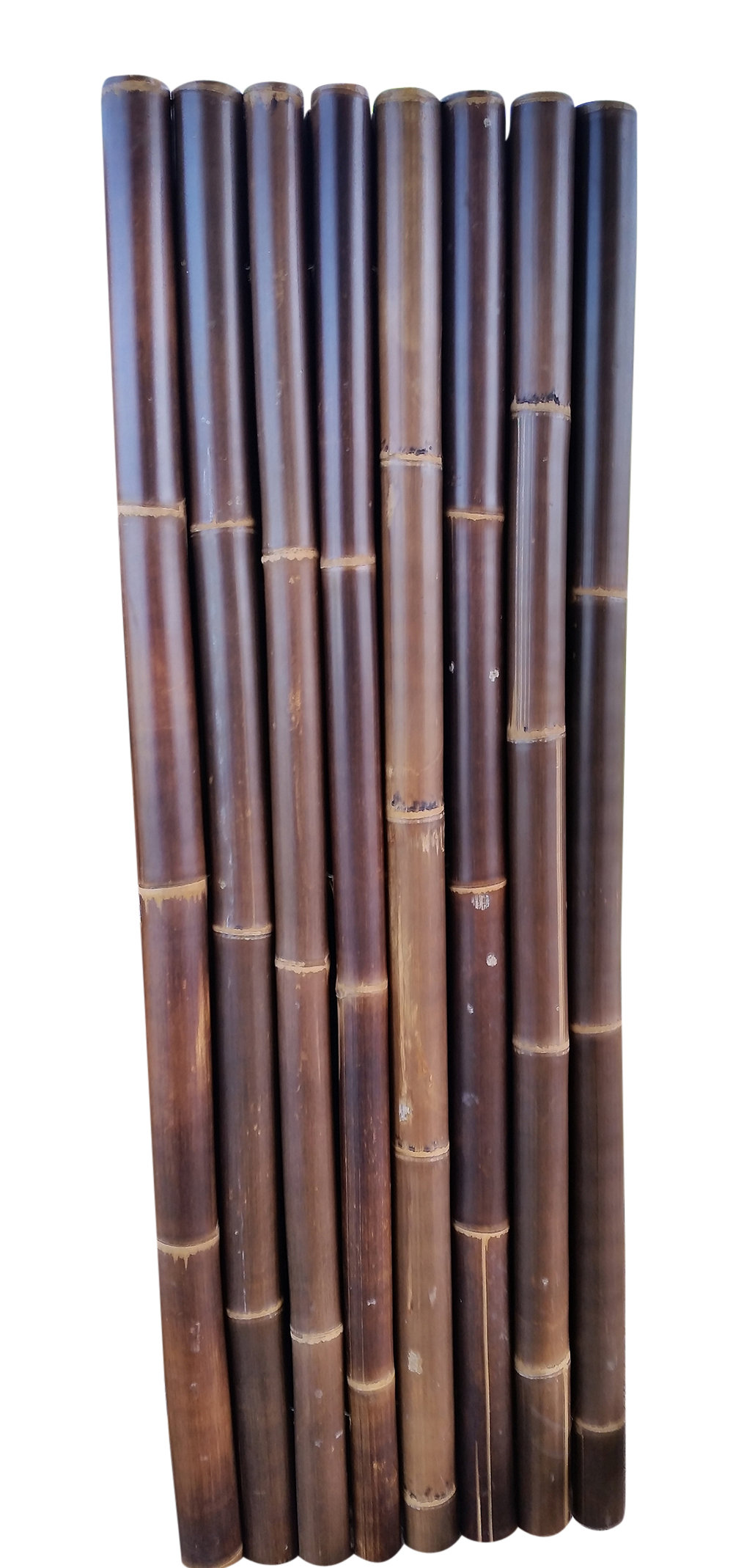 MGP 72'' H x 24'' W Black Bamboo/Reed Fencing & Reviews | Wayfair