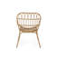 Chaises de cour arrière - Faux, brun, l 28,73 po x l 23,63 po x H 33,37 po, fer moderne