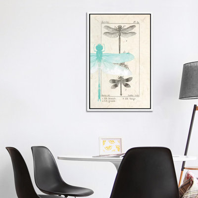Field Guide I by Kimberly Allen - Print on Canvas