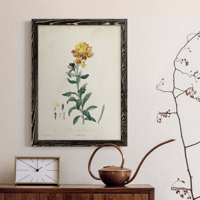 " Traditional Botanical III " Painting Print