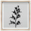Ossified Petals I Shadowbox Floral & Botanical Print by Oliver Gal, Black Frame, 12 x 12-2919524-2919522