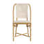 Tobias Outdoor Rattan Dining Chair-1968477725