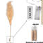 PVC Holiday Shaped Ornament-625275494