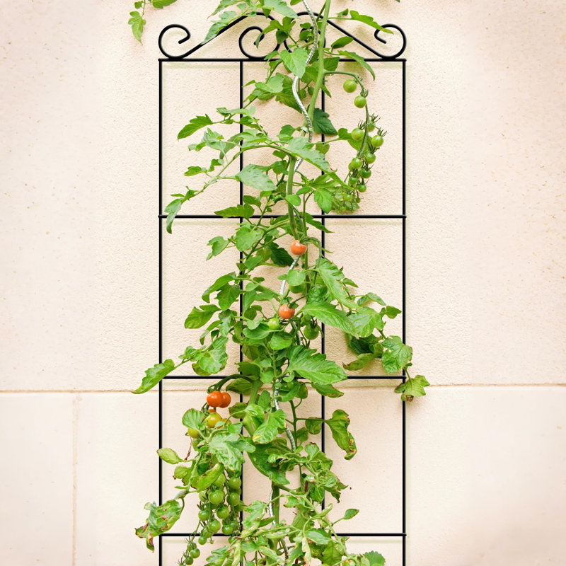 122cm H x 30cm W Metal Gothic