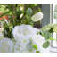 Pivoine hortensia et tulipe dans un vase en verre