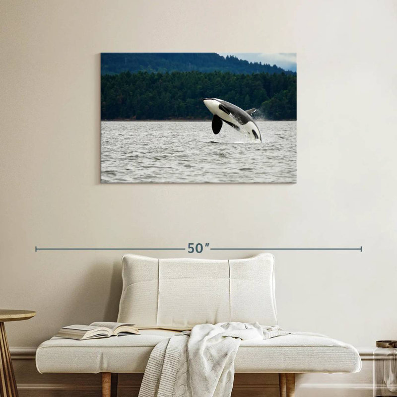 Crowle Orca Jumping, 24" H x 36" W