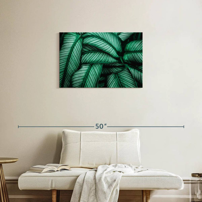 Harnek vert Calathea feuilles, H 20 po x l 30 po
