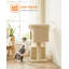 Arbre à chat Franjo-1733341078-1733341075