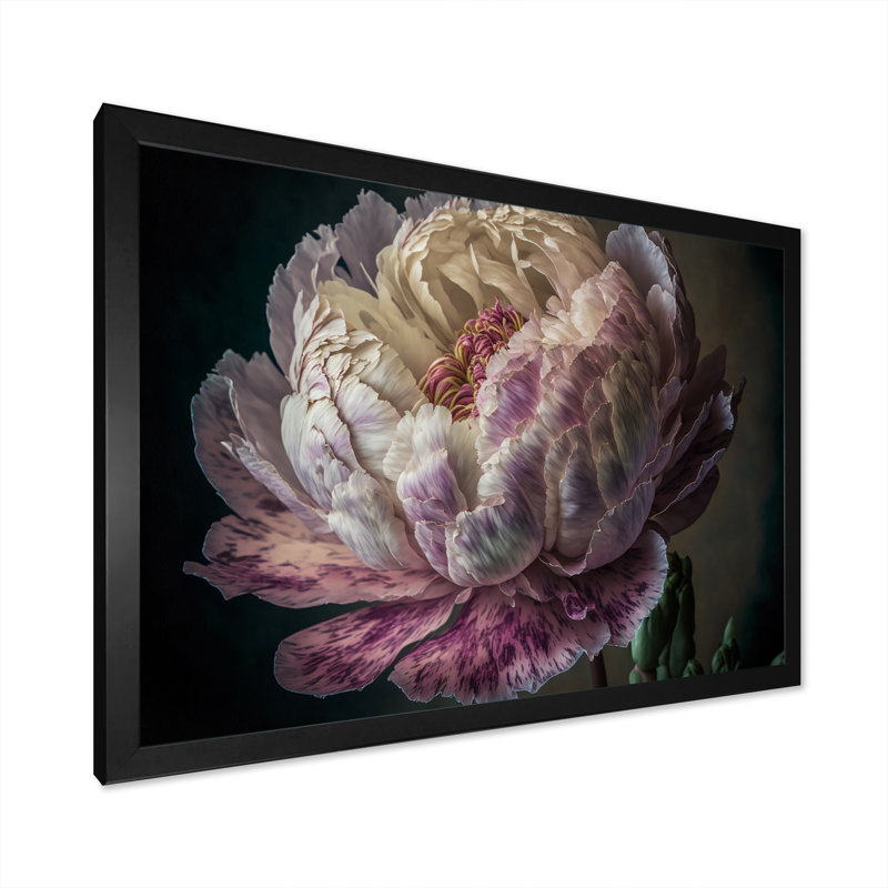 «Blossoming Pink and White Peony II», reproduction sur toile, Cadre simple noir, H 12 po x l 20 po x P 1 po