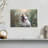 Brampt Nature Dog-107845347