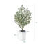 Olive artificielle Adcock pour la décoration intérieure et extérieure, faux olivier avec pot décoratif-1849018813-1849018815