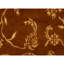 One-of-a-Kind 3'11" X 6' Area Rug